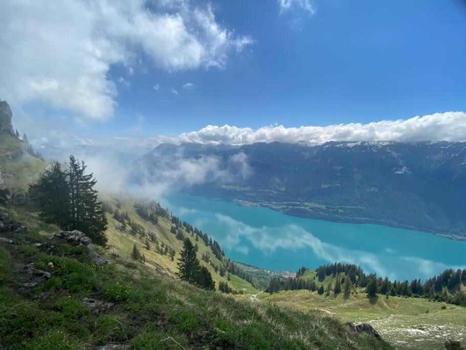 Chalet Mignon - Your Vacation Oasis At Lake Brienz Bönigen Exteriér fotografie