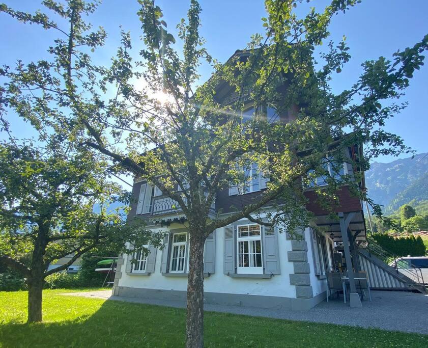 Chalet Mignon - Your Vacation Oasis At Lake Brienz Bönigen Exteriér fotografie